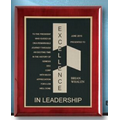 Piano Finish Plaque w/ Black Brass Plate (8"x10")